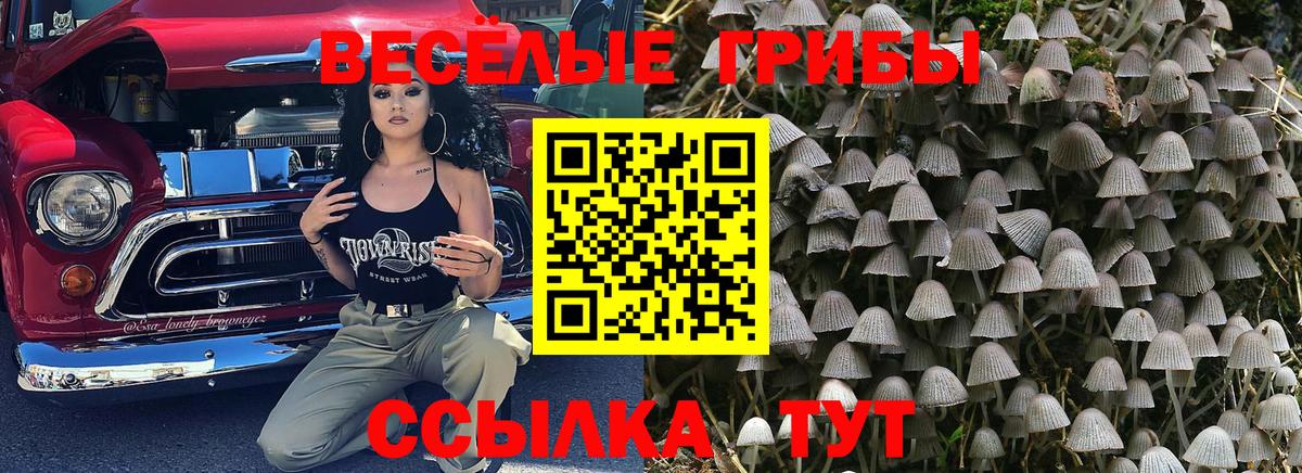 Галлюциногенные грибы ЛСД  Псилоцибиновые грибы ЛСД  Вход с VPN  как найти закладки  Ялуторовск 